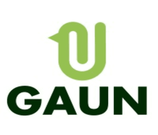 Gaun